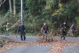 道路の上の落ち葉を掃除しました