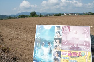 広大な土地にひまわりの種を植えていきます