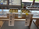 菊水