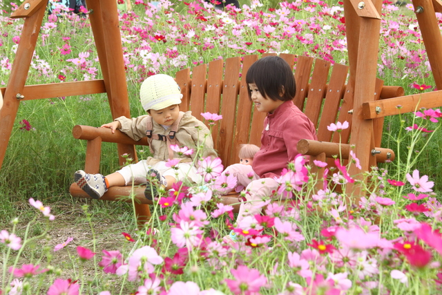 コスモスパーク