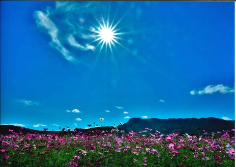 昨年の写真部門優秀賞作品