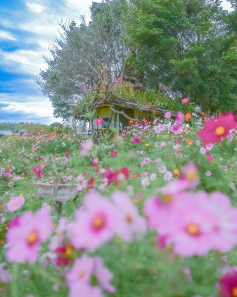 昨年のinstagram部門優秀賞作品