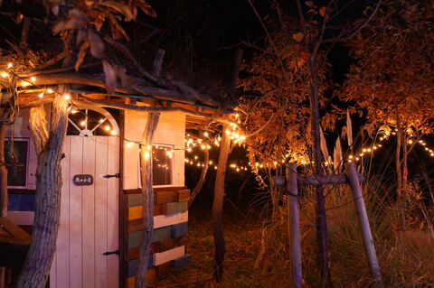 イルミネーション