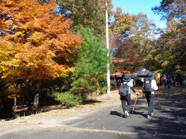 ふれあいの森到着