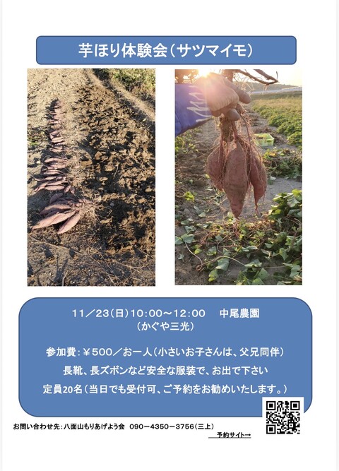 芋ほり体験会チラシ