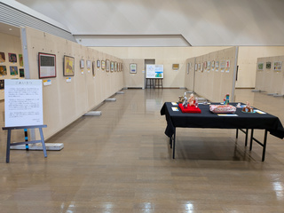 PXL_20260213_005001489 (1)