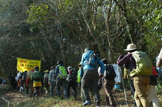 山の中に入っていきます