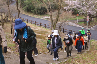桜ウォーク出発です