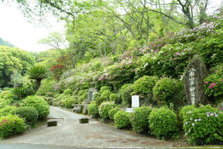 八面山平和公園