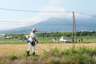 草刈り作業