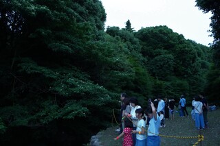 ホタル鑑賞会
