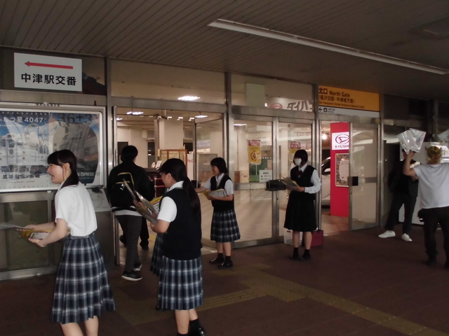 活動の様子