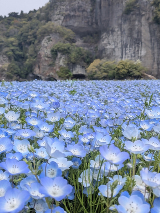 No.7 希望の灯火 No.7 希望の灯火