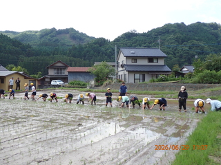 田植えの様子 田植えの様子