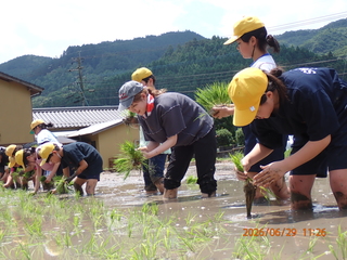 田植えの様子 田植えの様子