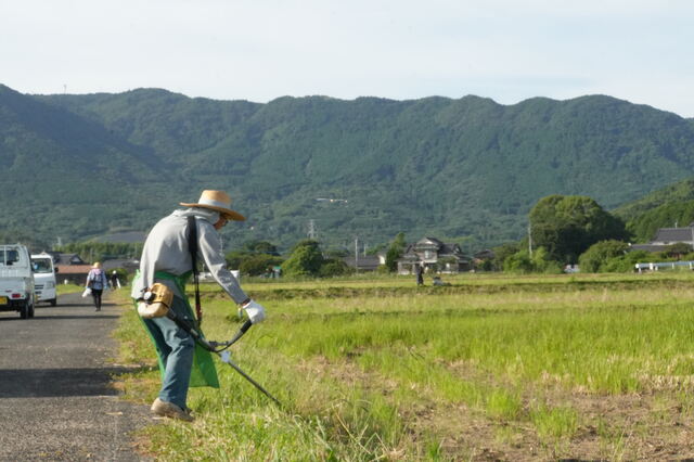 草刈り作業の様子