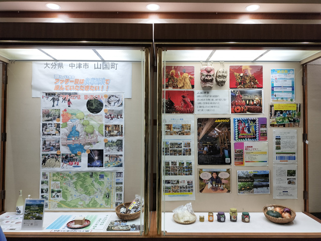 展示の様子