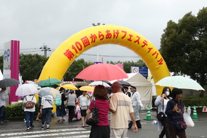 からフェス