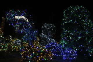 イルミネーション(駅南口) イルミネーション(駅南口)
