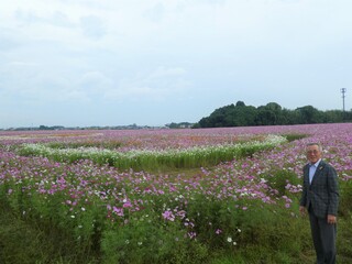 P1500072