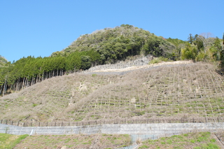 復旧が完了した災害現場